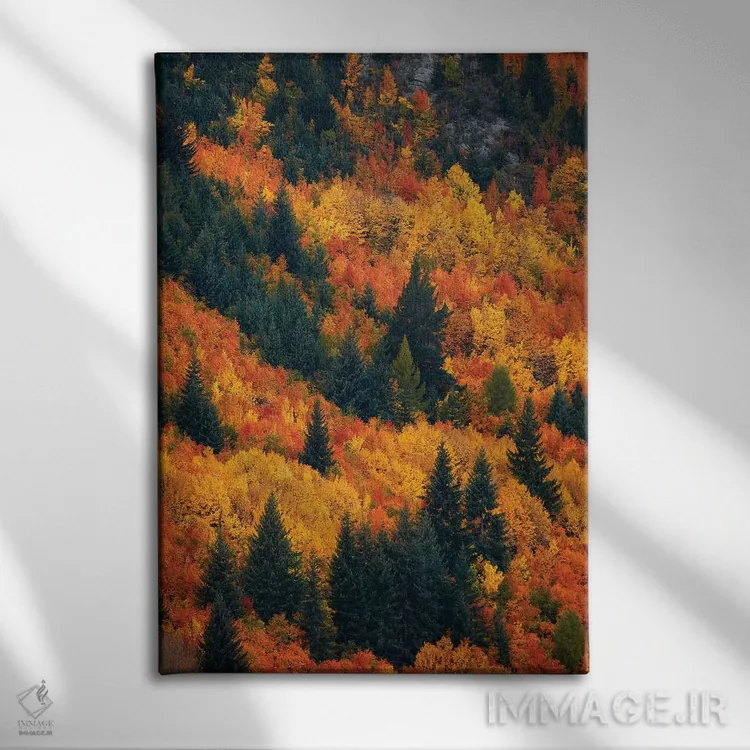 تابلو دکوراتیو درختان پاییزی، اروتاون، نزدیک کویینزتاون، اوتاگو، جزیره جنوبی… اثر دیوید وال - نمای روبهرو روی دیوار