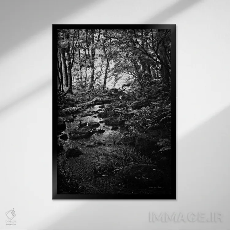 تابلو دکوراتیو جویبار سرسبز در جنگل اثر دبرا ون سوارینجن - نمای قابدار مشکی