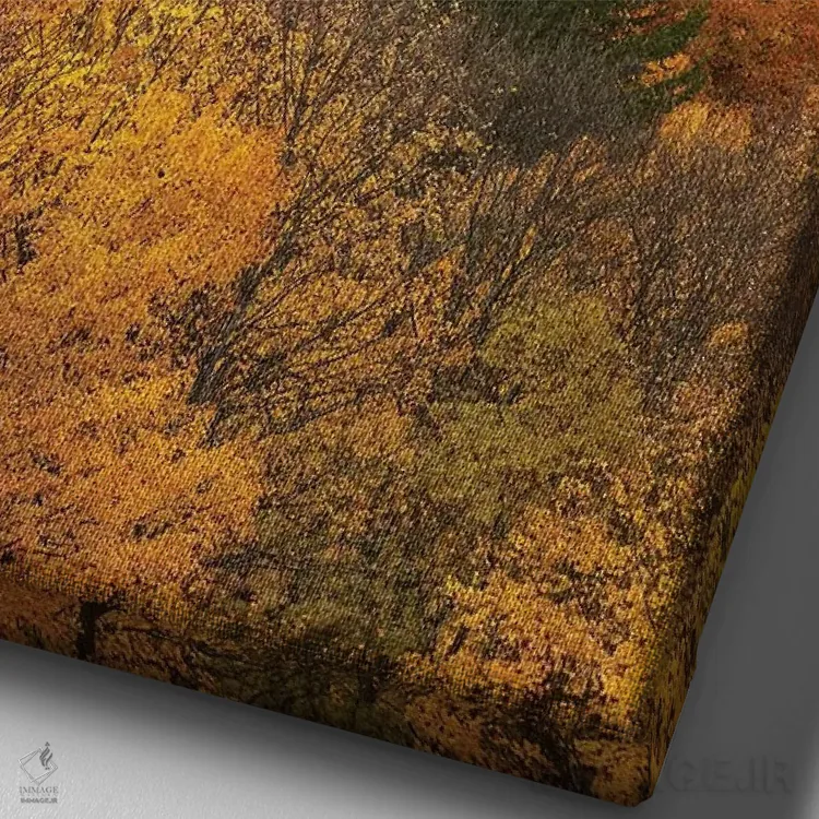 تابلو دکوراتیو درختان پاییزی، اروتاون، نزدیک کویینزتاون، اوتاگو، جزیره جنوبی… اثر دیوید وال - نمای نزدیک بافت بوم