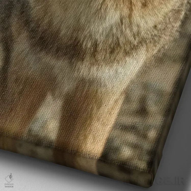 تابلو دکوراتیو روباه خاکستری آمریکای جنوبی ، پاتاگونیا، آرژانتین اثر دیوید وال - نمای نزدیک بافت بوم