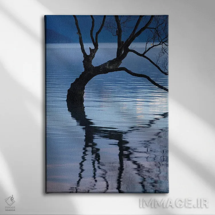 تابلو دکوراتیو آن درخت واناکا در انعکاس آب دریاچه واناکا، اوتاگو، جزیره جنوب… اثر دیوید وال - نمای روبهرو روی دیوار