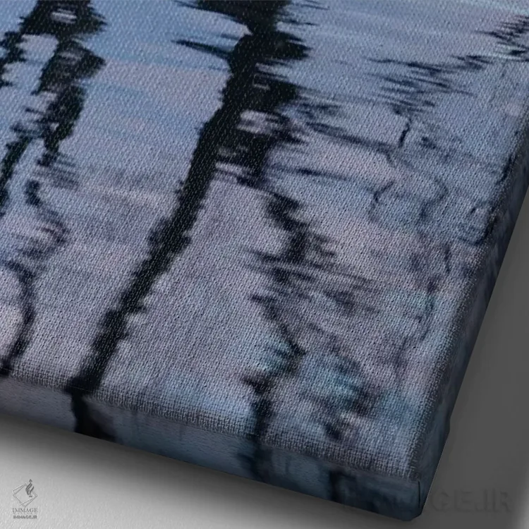 تابلو دکوراتیو آن درخت واناکا در انعکاس آب دریاچه واناکا، اوتاگو، جزیره جنوب… اثر دیوید وال - نمای نزدیک بافت بوم