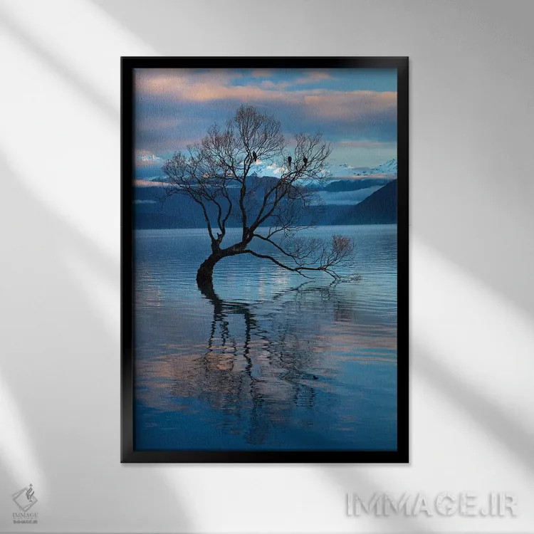تابلو دکوراتیو آن درخت واناکا در انعکاس آب دریاچه واناکا، اوتاگو، جزیره جنوب… اثر دیوید وال - نمای قابدار مشکی