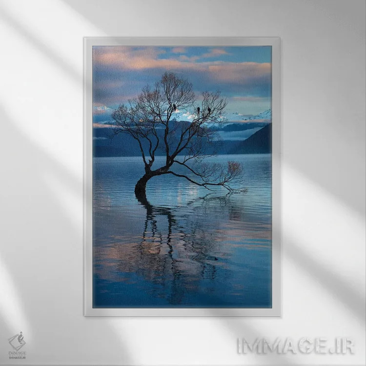 تابلو دکوراتیو آن درخت واناکا در انعکاس آب دریاچه واناکا، اوتاگو، جزیره جنوب… اثر دیوید وال - نمای قابدار سفید