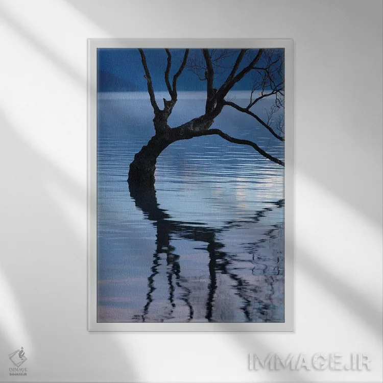 تابلو دکوراتیو آن درخت واناکا در انعکاس آب دریاچه واناکا، اوتاگو، جزیره جنوب… اثر دیوید وال - نمای قابدار سفید