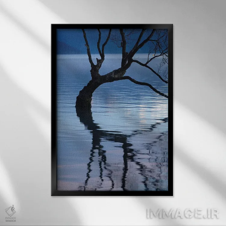 تابلو دکوراتیو آن درخت واناکا در انعکاس آب دریاچه واناکا، اوتاگو، جزیره جنوب… اثر دیوید وال - نمای قابدار مشکی