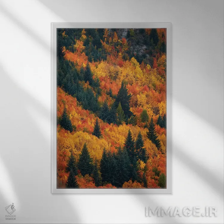 تابلو دکوراتیو درختان پاییزی، اروتاون، نزدیک کویینزتاون، اوتاگو، جزیره جنوبی… اثر دیوید وال - نمای قابدار سفید