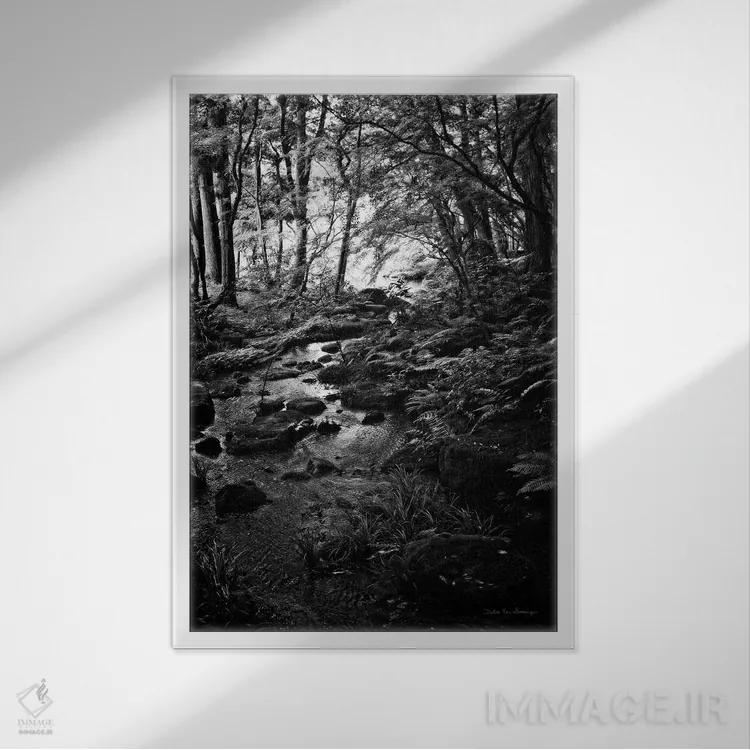 تابلو دکوراتیو جویبار سرسبز در جنگل اثر دبرا ون سوارینجن - نمای قابدار سفید