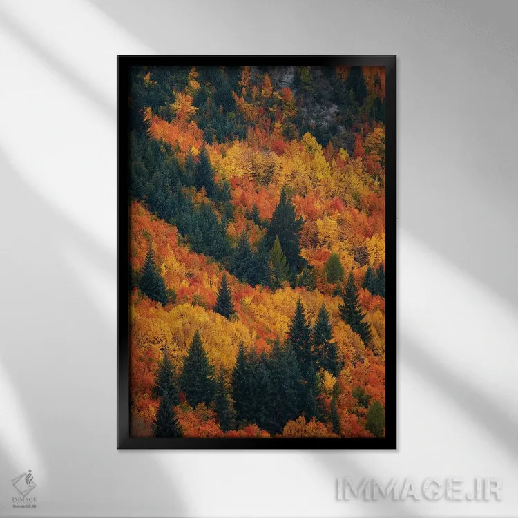 تابلو دکوراتیو درختان پاییزی، اروتاون، نزدیک کویینزتاون، اوتاگو، جزیره جنوبی… اثر دیوید وال - نمای قابدار مشکی