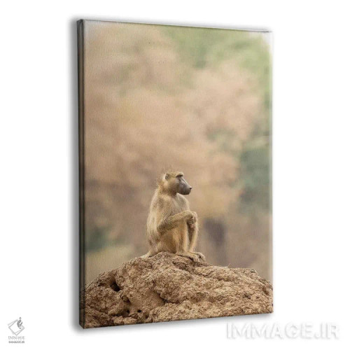 تابلو دکوراتیو تامل اثر دیوید وولن - نمای پرسپکتیو محصول