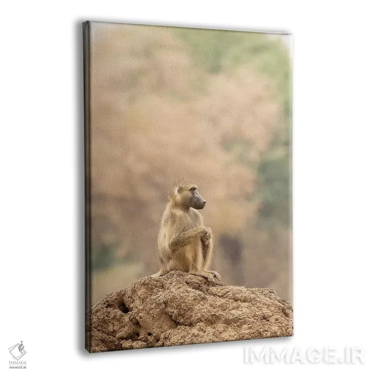 تابلو دکوراتیو تامل اثر دیوید وولن - نمای پرسپکتیو محصول