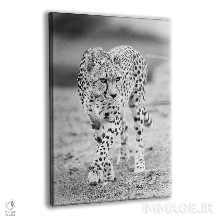 تابلو دکوراتیو یوزپلنگ اثر دیوید وولن - نمای پرسپکتیو محصول