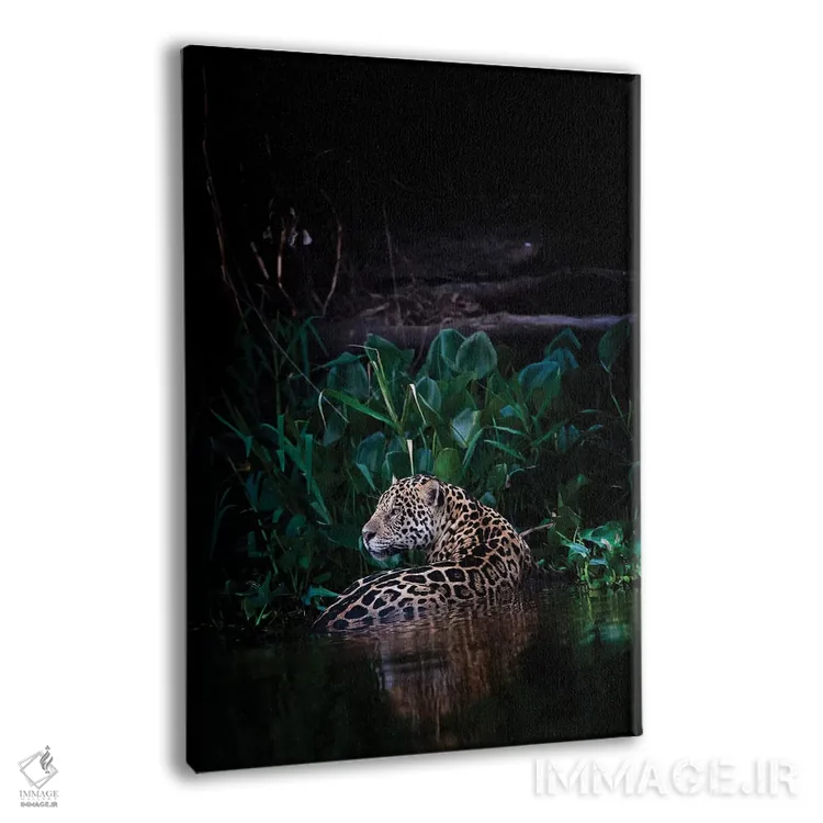 تابلو دکوراتیو خنک شدن اثر دیوید وولن - نمای پرسپکتیو محصول