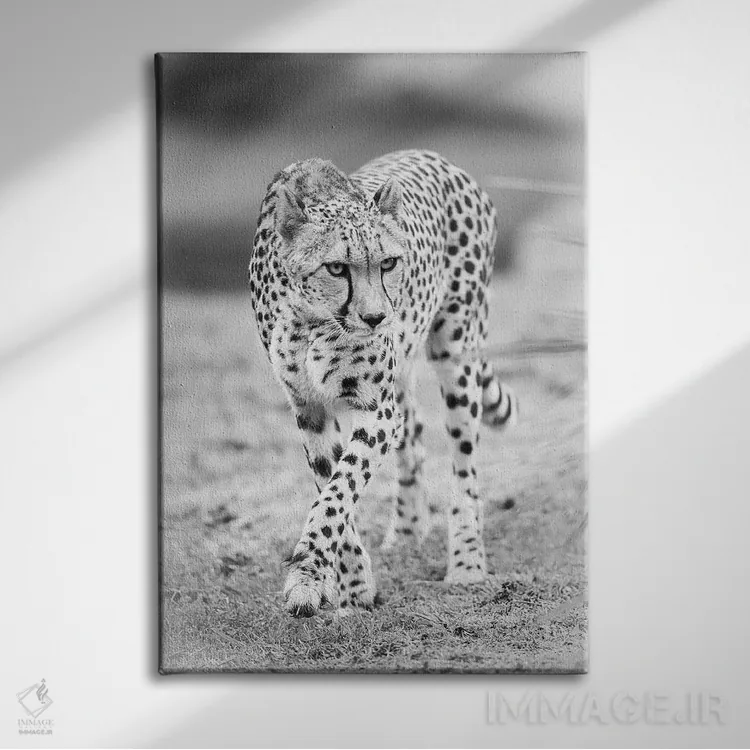 تابلو دکوراتیو یوزپلنگ اثر دیوید وولن - نمای روبهرو روی دیوار