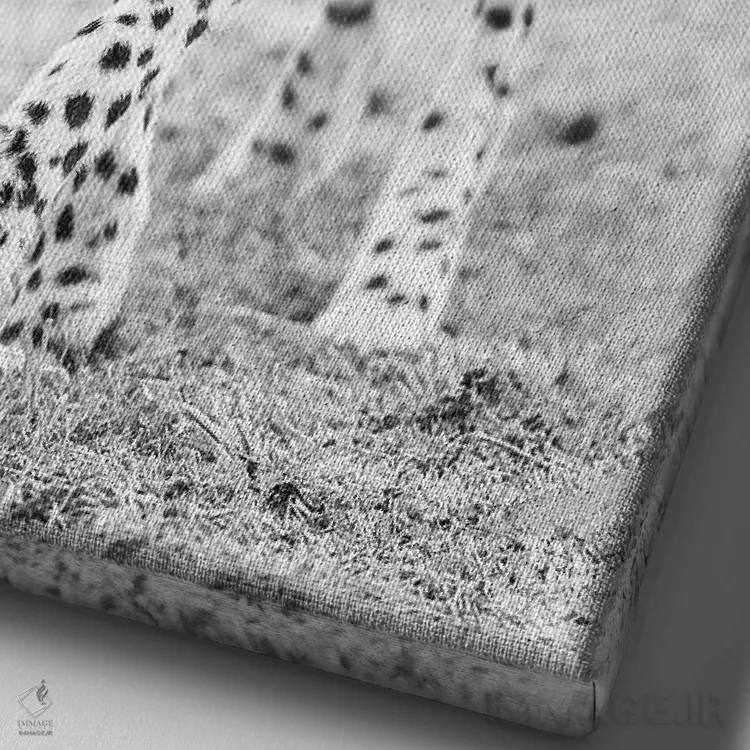 تابلو دکوراتیو یوزپلنگ اثر دیوید وولن - نمای نزدیک بافت بوم