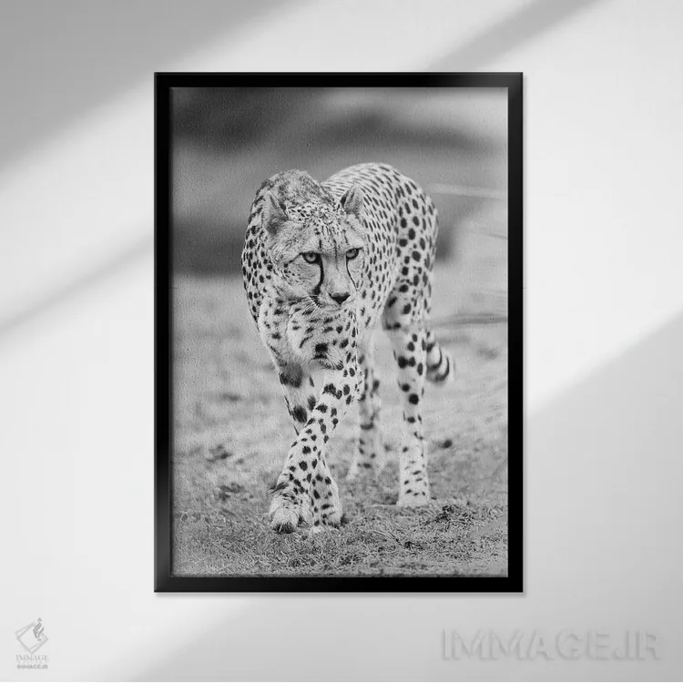 تابلو دکوراتیو یوزپلنگ اثر دیوید وولن - نمای قابدار مشکی