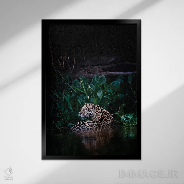 تابلو دکوراتیو خنک شدن اثر دیوید وولن - نمای قابدار مشکی