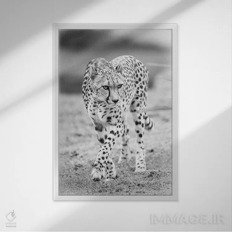 تابلو دکوراتیو یوزپلنگ اثر دیوید وولن - نمای قابدار سفید