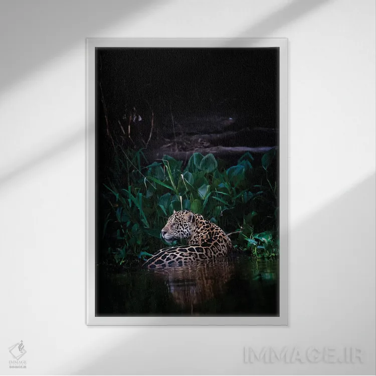 تابلو دکوراتیو خنک شدن اثر دیوید وولن - نمای قابدار سفید