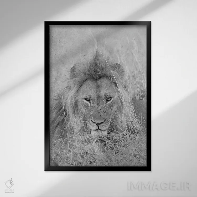 تابلو دکوراتیو پنهان شدن اثر دیوید وولن - نمای قابدار مشکی