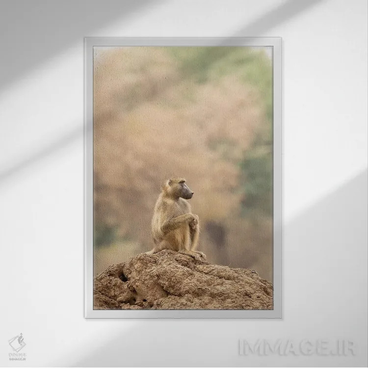 تابلو دکوراتیو تامل اثر دیوید وولن - نمای قابدار سفید
