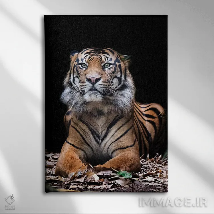 تابلو دکوراتیو هوتان اثر دیوید وولن - نمای روبهرو روی دیوار