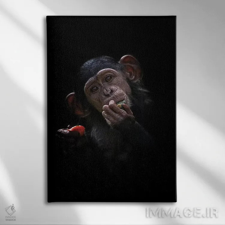 تابلو دکوراتیو شامپانزه بچه اثر دیوید وولن - نمای روبهرو روی دیوار