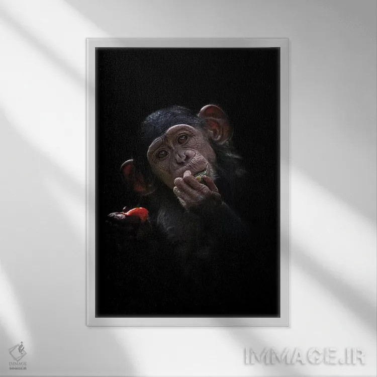 تابلو دکوراتیو شامپانزه بچه اثر دیوید وولن - نمای قابدار سفید