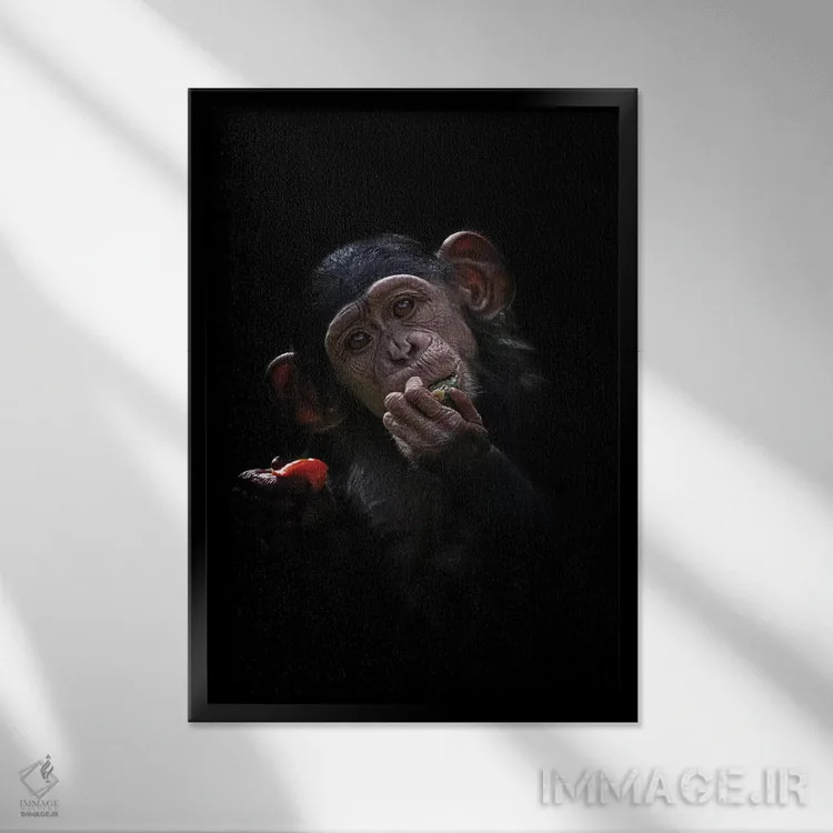 تابلو دکوراتیو شامپانزه بچه اثر دیوید وولن - نمای قابدار مشکی
