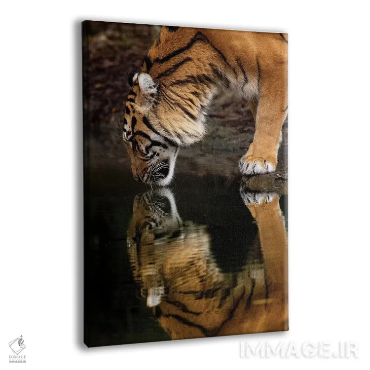 تابلو دکوراتیو آینه آینه اثر دیوید وولن - نمای پرسپکتیو محصول