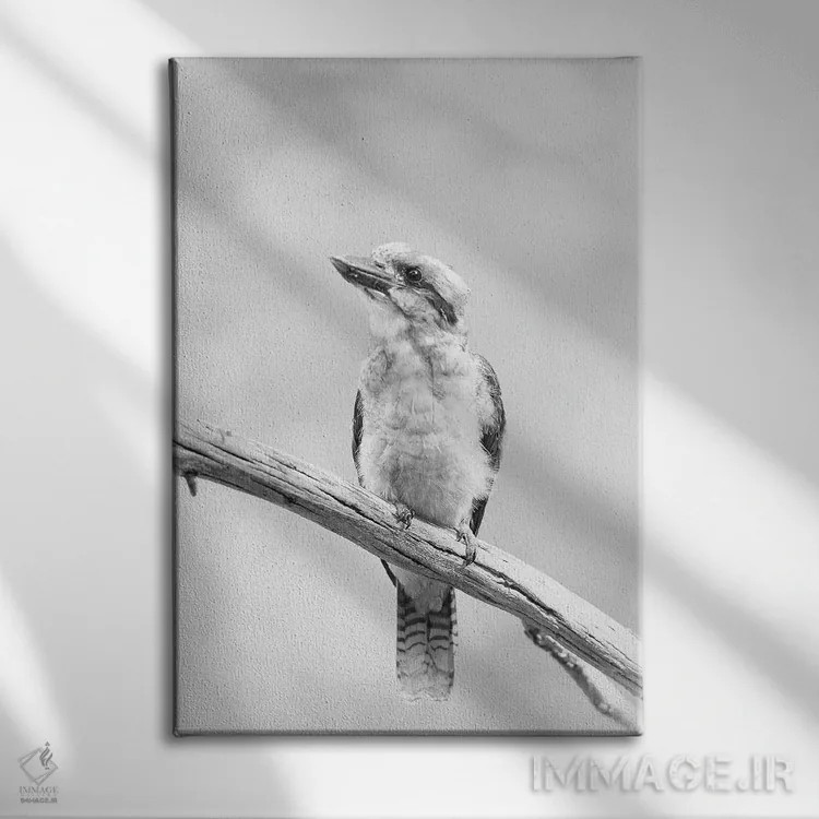 تابلو دکوراتیو کوکابورا اثر دیوید وولن - نمای روبهرو روی دیوار