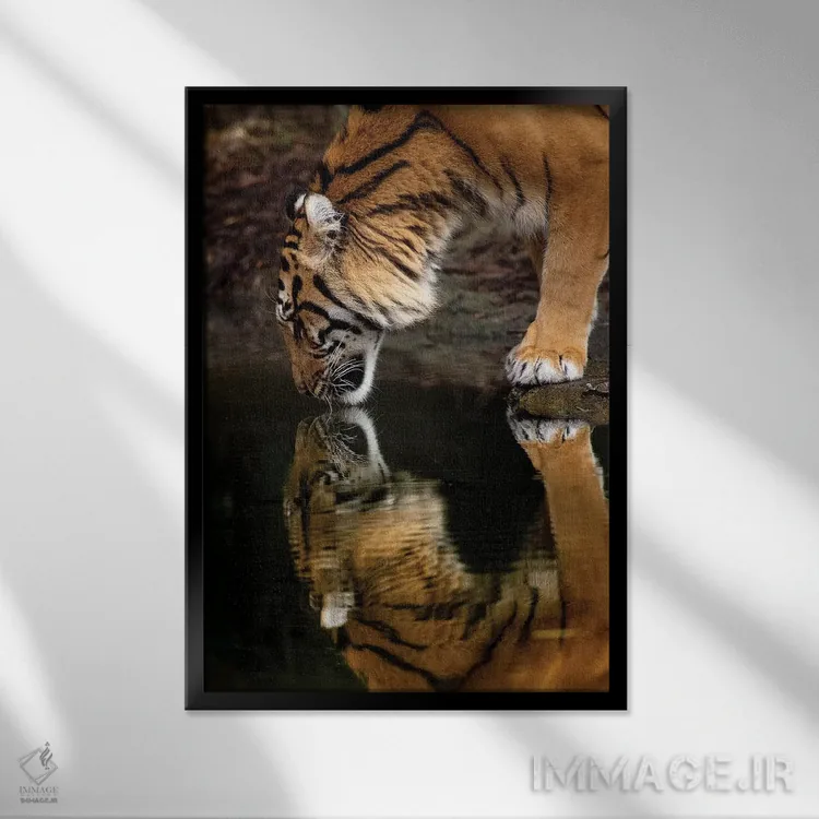 تابلو دکوراتیو آینه آینه اثر دیوید وولن - نمای قابدار مشکی