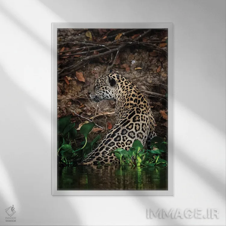 تابلو دکوراتیو جاگوار اثر دیوید وولن - نمای قابدار سفید