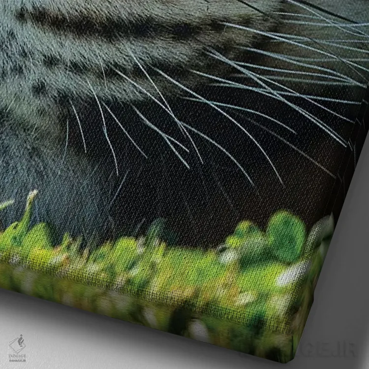 تابلو دکوراتیو ببر بنگال در حال خواب اثر دیوید وولن - نمای نزدیک بافت بوم