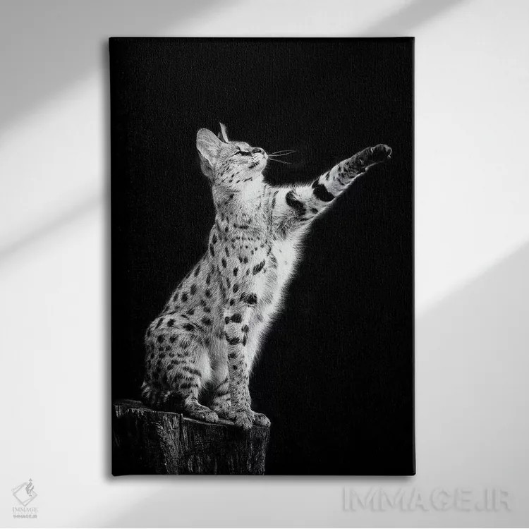 تابلو دکوراتیو سروال اثر دیوید وولن - نمای روبهرو روی دیوار