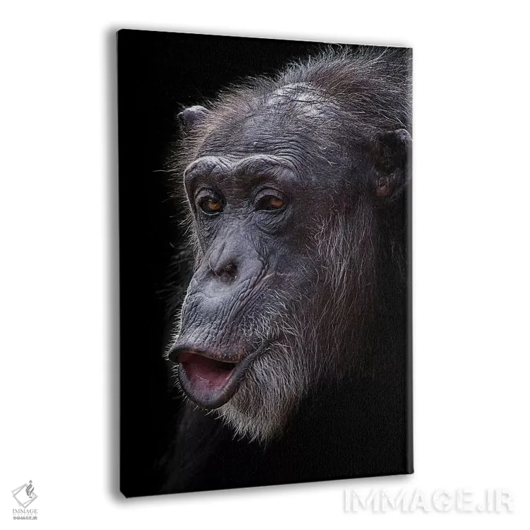 تابلو دکوراتیو غافلگیری اثر دیوید وولن - نمای پرسپکتیو محصول