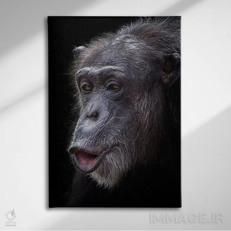 تابلو دکوراتیو غافلگیری اثر دیوید وولن - نمای روبهرو روی دیوار