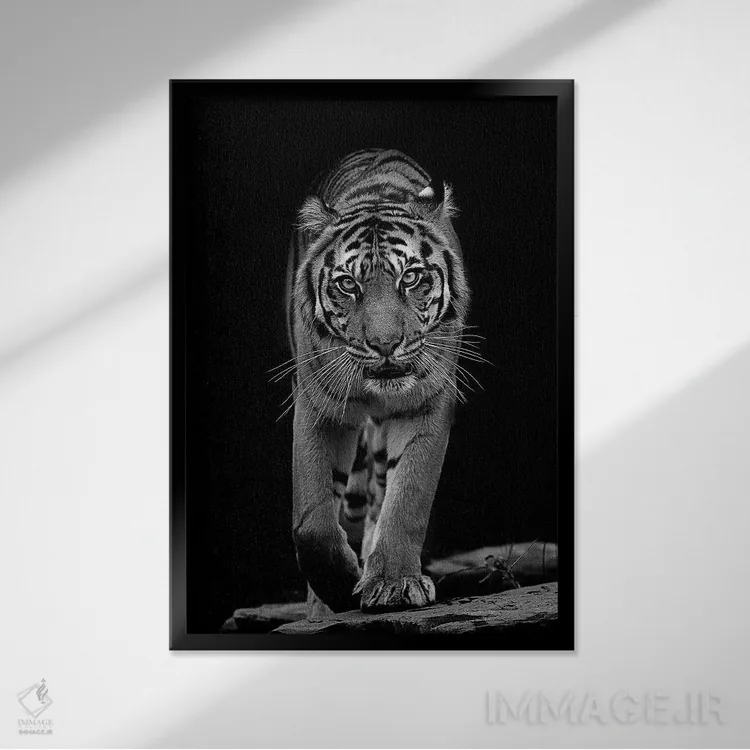 تابلو دکوراتیو سبیل ها در سیاه و سفید اثر دیوید وولن - نمای قابدار مشکی