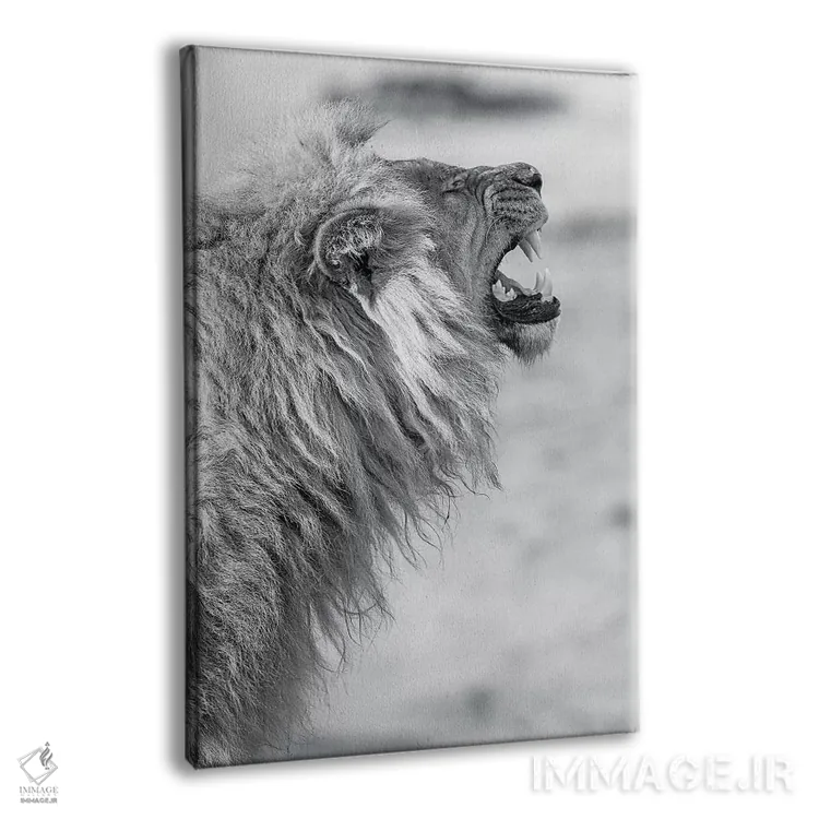 تابلو دکوراتیو شیر خمیازه کش اثر دیوید وولن - نمای پرسپکتیو محصول