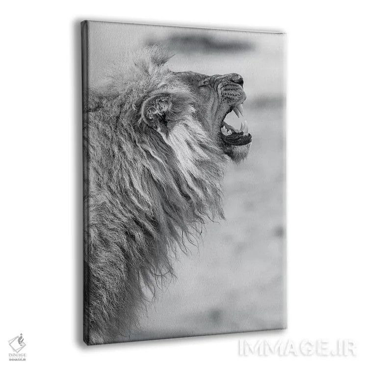 تابلو دکوراتیو شیر خمیازه کش اثر دیوید وولن - نمای پرسپکتیو محصول