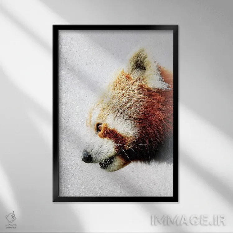 تابلو دکوراتیو پاندای سرخ اثر دیوید وولن - نمای قابدار مشکی