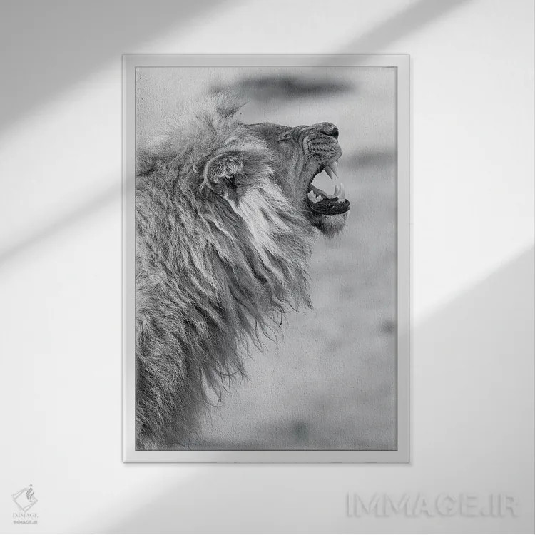 تابلو دکوراتیو شیر خمیازه کش اثر دیوید وولن - نمای قابدار سفید