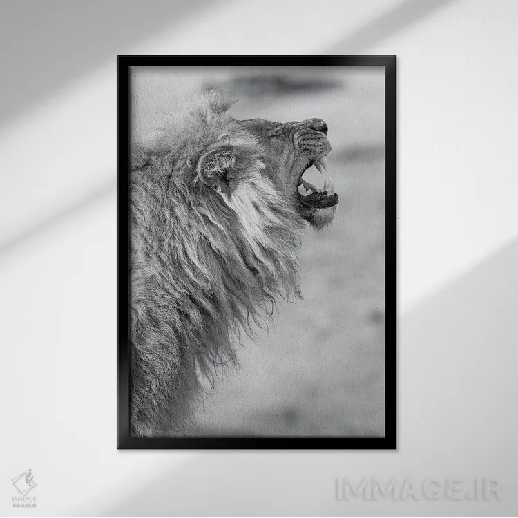 تابلو دکوراتیو شیر خمیازه کش اثر دیوید وولن - نمای قابدار مشکی