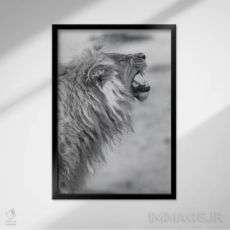 تابلو دکوراتیو شیر خمیازه کش اثر دیوید وولن - نمای قابدار مشکی