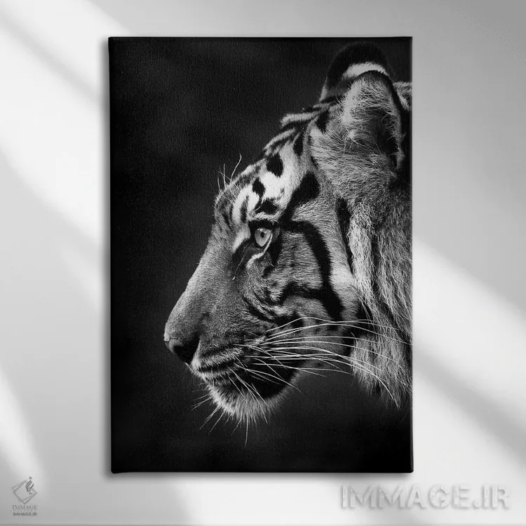 تابلو دکوراتیو ایندرا اثر دیوید وولن - نمای روبهرو روی دیوار