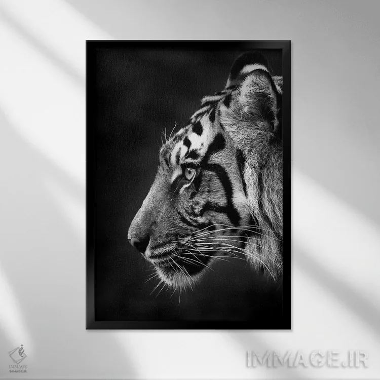 تابلو دکوراتیو ایندرا اثر دیوید وولن - نمای قابدار مشکی