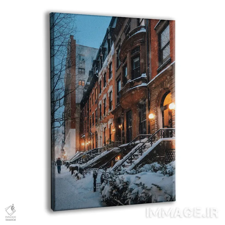 تابلو دکوراتیو شب برفی در بروکلین هایتس اثر دیلان واکر - نمای پرسپکتیو محصول