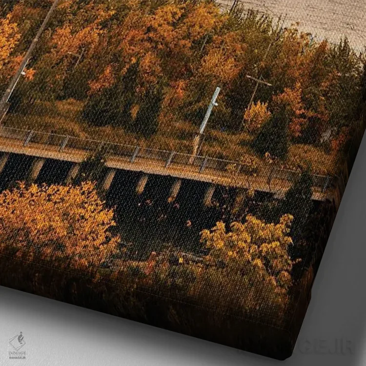 تابلو دکوراتیو یک سفر پاییزی با فری اثر دیلان واکر - نمای نزدیک بافت بوم