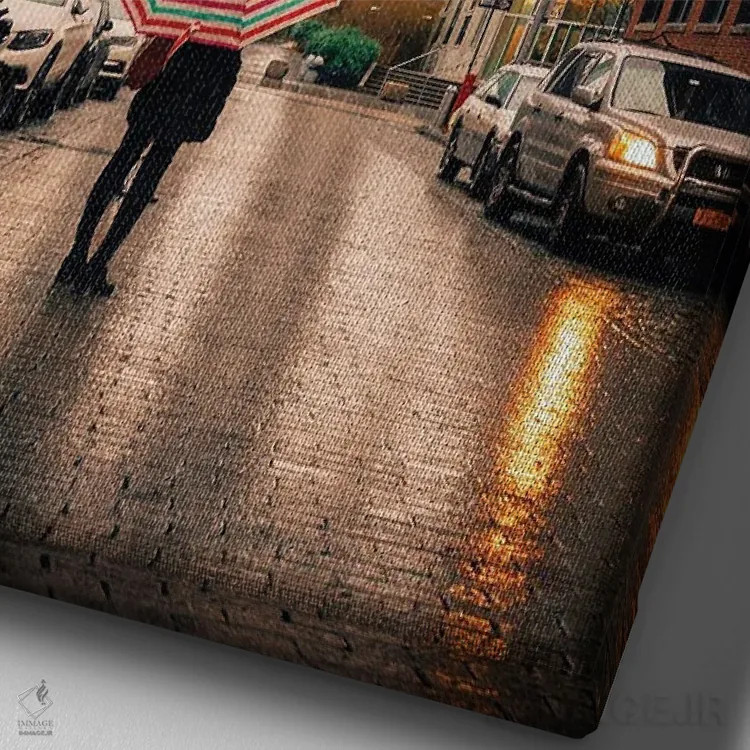 تابلو دکوراتیو دامبو کلاسیک اثر دیلان واکر - نمای نزدیک بافت بوم