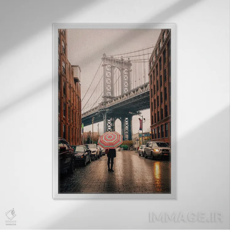 تابلو دکوراتیو دامبو کلاسیک اثر دیلان واکر - نمای قابدار سفید